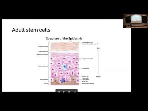 Cancer stem cells I