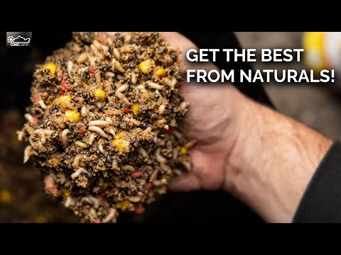 The Complete Guide to Naturals | Tom Maker | CineCarp TV | Carp Fishing 2024