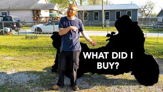 New Motorcycle: What Did I Buy?