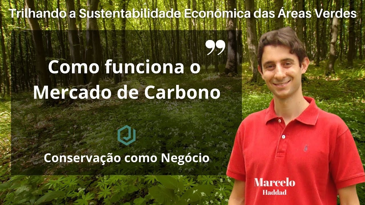 Como funciona o mercado de carbono