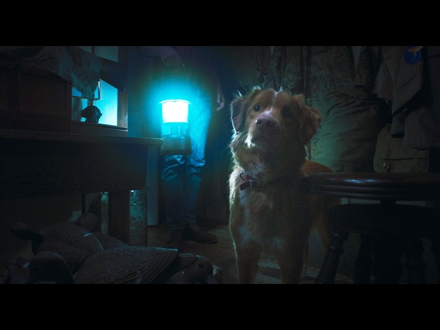 『GOOD BOY／グッド・ボーイ』予告