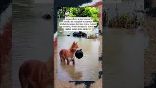 Download lagu ya all4h kasih4nnya,mudah2an ada orang b4ik #trendingshorts #fypviral mp3