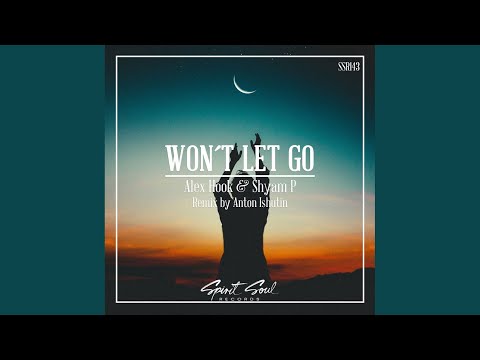 Won't Let Go (Original Mix)