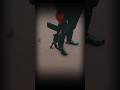 New Guns Status Gun Viralshort Pistal Status