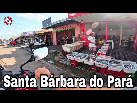 SANTA BÁRBARA DO PARÁ - PARADA OBRIGATÓRIA PARA QUEM VAI PRA MOSQUEIRO@leandrodastart6113 PAU D'ARCO