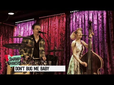 THE SWAMP SHAKERS - DON'T BUG ME BABY (LIVE) | Milton Allen Cover