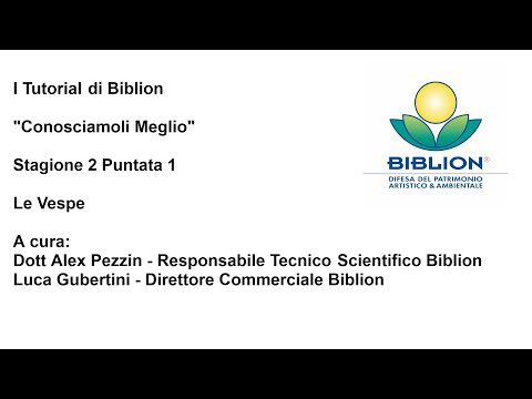 I Tutorial di Biblion "Conosciamoli meglio" Seconda stagione Puntata 1 - Le Vespe
