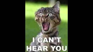 KARL DENVER CRY A LITTLE SOMETIMES.wmv