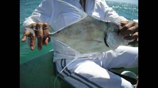 preview picture of video 'Fishing Trip To Chinaman's Hat'