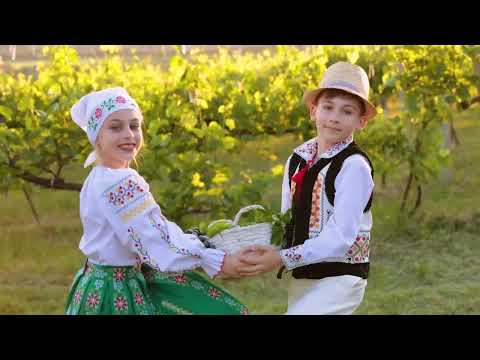 Ansamblul Zâmbetul - La cules