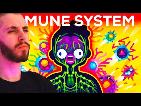 How The Immune System ACTUALLY Works – IMMUNE - Kurzgesagt – In a Nutshell Reaction