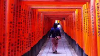 preview picture of video 'Thousands of vermilion torii gates (Fushimi Inari Shrine, Kyoto)'