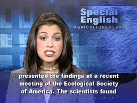 download lagu mp3 mp4 Two Scientists, download mp3 Two Scientists free downloadn, video klip Two Scientists