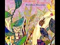 Lee Konitz & The Brazilian Band - Triste