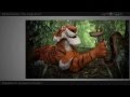 A Tiger And A Snake The Jungle Book