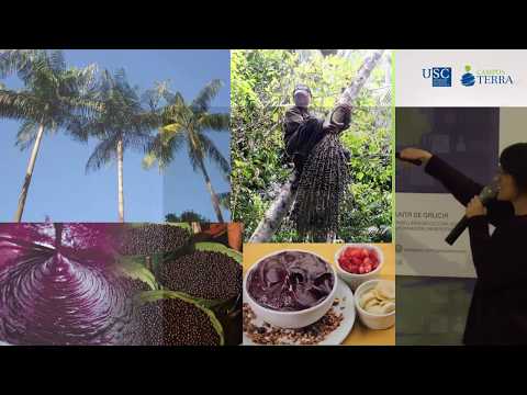 Vídeo: Unidades de conservação de uso sustentável no Brasil