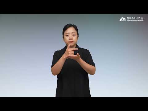 노아 수어