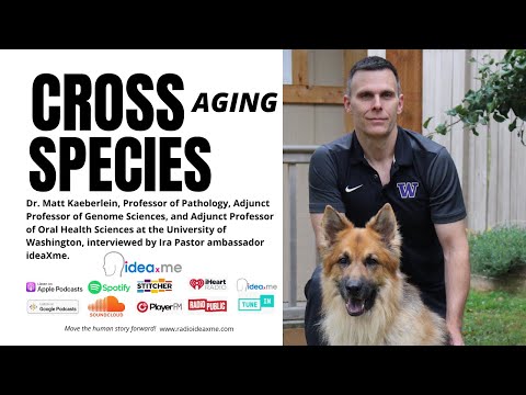 Targeting the Mechanisms of Aging Across Species