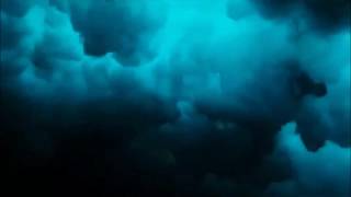 Dandelion - Roland Orzabal