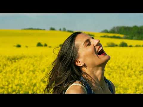 AMIGOS DER ABSOLUTE WAHNSINN