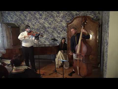 Sebastian Brettfeld - Jan Křtitel Vaňhal - Concerto for Violone, Double Bass (Viennese Tuning)