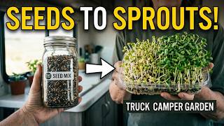 Growing Sprouts and Microgreens in My Truck Camper | Budget Grocery Run