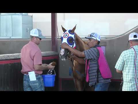 2026 All American Futurity (G1) Webcast Coverage (VIDEO)