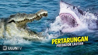Download lagu Terekam Kamera Pertarungan Sengit Buaya Vs Hiu ‼️ Siapakah Pemenangnya ❓ mp3