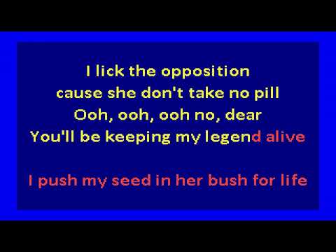 Roots  ft  Cody ChesnuTT  - The Seed 2.0 (karaoke)