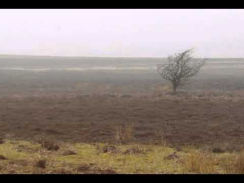 Olias of Sunhillow by Jon Anderson 12 (Song of Search)