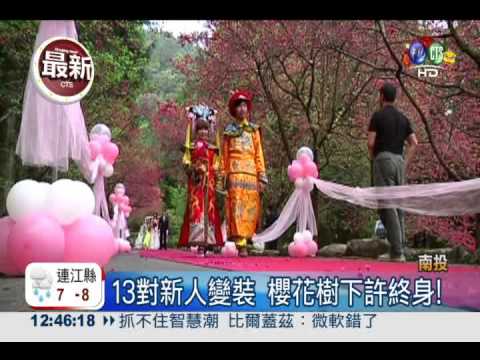 櫻花樹證婚! 13對新人互許終身