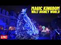 Live Magic Kingdom Friday Night Starlight Parade And Fireworks At Walt Disney World 2 27 2026