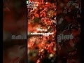 Chempoove Poove Whatsapp Status Video Song Kalapani Mohanlal