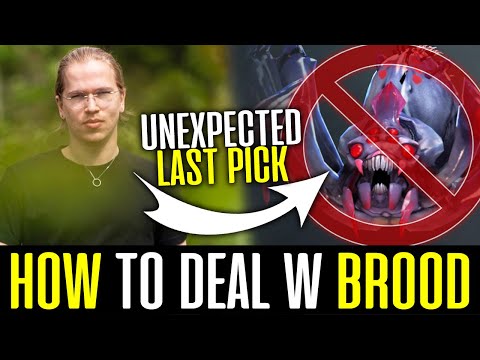 How TOPSON deal with BROODMOTHER - Unexpected Last Pick COUNTER DOTA 2
