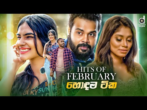 HITS OF FEBRUARY (2022) || Sinhala Remix Songs || Sinhala DJ Jukebox || Remix Songs 2022