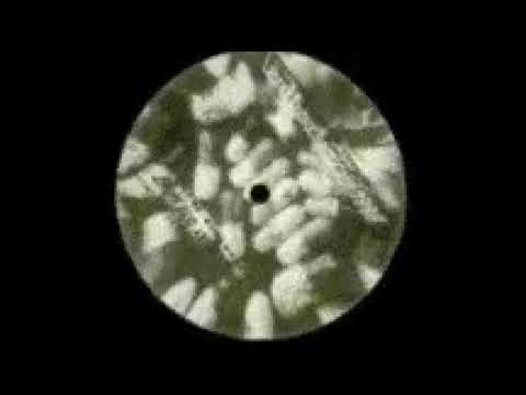 Crystal Distortion - Labrat audiochemicals (Perce oreille) 1998. B1: Untitled.
