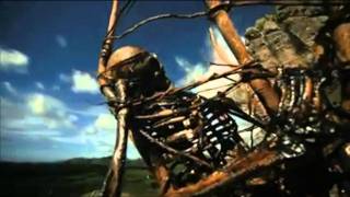 Pep Llopis - The Milky Way.MP4