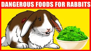Vegetables and Fruits That Will Kill Your Rabbit