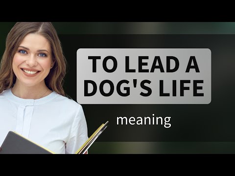 Understanding the Phrase "To Lead a Dog's Life"
