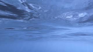 caro♡ - drop in the ocean