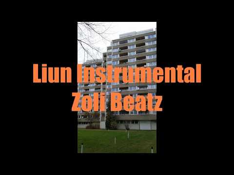 30. Liun Instrumental / Zoli Beatz - Oldschool Rap/Hip Hop Instrumental (100 BPM)
