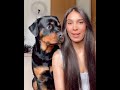 Copy Your Dog And See Their Reaction Cute Rottweiler