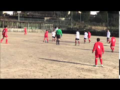 GDC CARVALHOSA vs SALGUEIROS 08