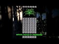 Lost Century Natural Process Of Progression 1993 Full EP HD