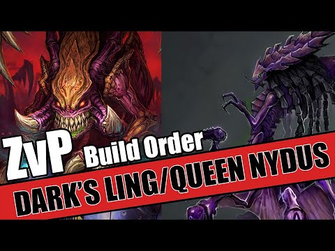 Build Order Tutorial: ZvP Dark Ling/Queen Nydus Worm All-In