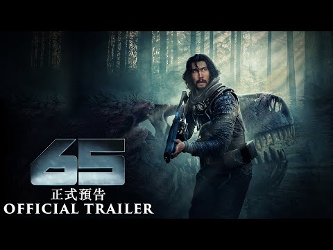 65電影海報