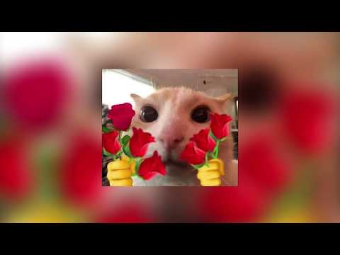 Arrasta pra cima| DDP diretoria e Mumuzinho | sped up