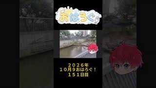 ワニって、こんなに集まるんだ。笑｜10月9日のおはろぐ149日目