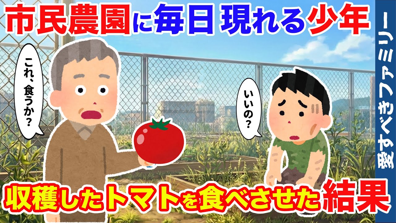 【ほっこりする話】市民農園をフェンス越しに見つめる痩せ細った少年にトマトを食べさせた結果【感動する話】