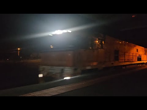 2TA8 down JBRE Great Southern (NR30 NR31, 28V), Brisbane to Adelaide, 2210, 28/1/26, Horsham VIC 